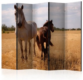 Paravento Cavallo e Puledro II (5 części) - animali selvatici