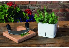 Cole&Mason - Tagliere da cucina e coltello a culla 21,5x51,5 cm faggio