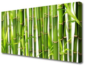 Quadro su tela Steli di bambù Foglie di bambù 100x50 cm