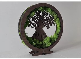 Li-Go 23631/DUB2 - Lampada da tavolo decorativa a LED dimmerabile, 12W/230V, 30×31 cm, finitura rovere