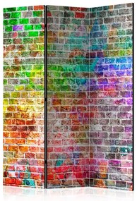 Paravento  Rainbow Wall [Room Dividers]  Colore ---, Dimensioni e Misure 135x172