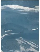 Coordonne Wandbild Marine Xray Metallics - Silver