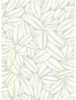 Élitis Carta da parati Succulente - Weiß/ Grau