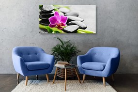 Quadro su tela – Natura morta per il benessere con orchidea viola