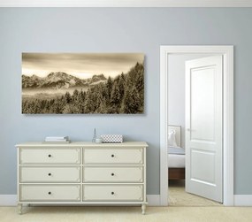 Quadro su tela – Montagne congelate in seppia