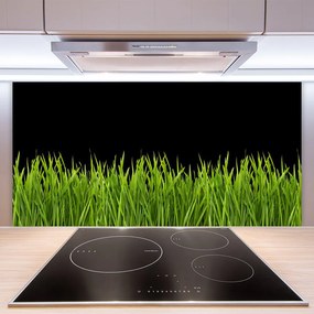 Pannello paraschizzi cucina Natura dell'erba verde 100x50 cm