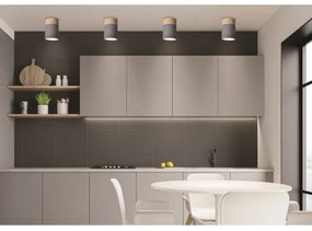 Plafoniera TUBA GU10/15W/230V