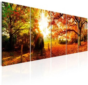 Quadro Enchanting Autumn  Colore Marrone, Dimensioni e Misure 200x80