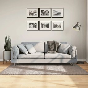 Tappeto Shaggy Pamplona A Pelo Lungo Moderno Beige 120x170 Cm /