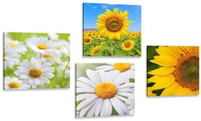 Set di quadri – Splendidi fiori nel prato