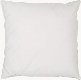Cuscino in piuma Comfort, rigido, 80x80
