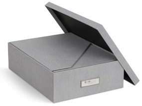 Organizzatori di documenti in cartone in set da 5 Holger - Bigso Box of Sweden