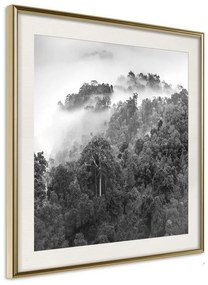 Poster  Foggy Forest  Cornice Quadri Cornice d'oro con passe-partout, Larghezza x Altezza Home decor 50x50