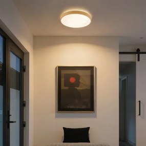 Brilagi-LED Lampada dimmerabile GLASS POOL DOUBLE LED/48W/230V 40 cm finitura legno + telecomando