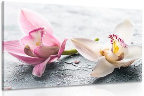 Stampa su tela – Due fiori colorati di orchidea