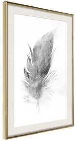 Poster  Lost Feather (Grey)  Cornice Quadri Cornice d'oro con passe-partout, Larghezza x Altezza Home decor 40x60