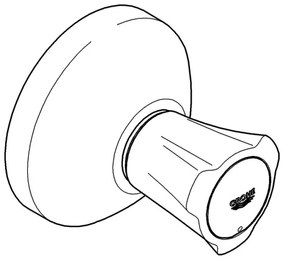 GROHE 19809001 - Finitura per valvola incassata COSTA L, cromo lucido