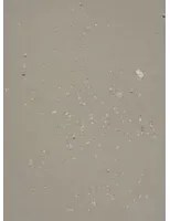 Terrastone Rustique floor - 15kg - KW5 - Graubeige - 15 kg