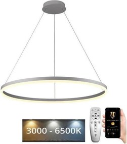 Brilagi - lampadario LED dimmerabile a sospensione con cavo CIRCLE LED/55W/230V 3000-6500K + telecomando