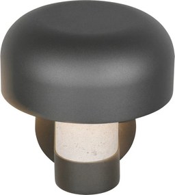 Illuminazione esterna da parete (altezza totale 24,5 cm) Fraser – Trio