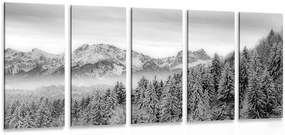 Quadri 5 pezzi – Montagne congelate in bianco e nero