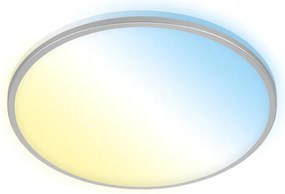 Briloner 3064-014 - Plafoniera LED dimmerabile IVY 24W/230V Wi-Fi Tuya Ø33,3 cm + telecomando