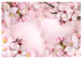 Fotomurale adesivo Spring Cherry Blossom
