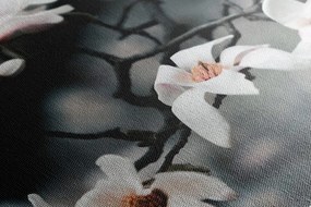 Quadro su tela – Magnolia che si risveglia