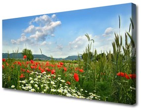 Stampa quadro su tela Prato, fiori, natura 100x50 cm