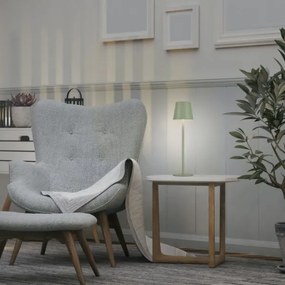 Leuchten Direkt 19250-43 - LED Lampada ricaricabile da esterno EURIA LED/3W/5V IP54