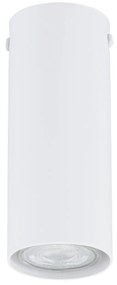 Plafoniera Moderna Faretto Marduk 1 Luce Acciaio Bianco 15 Cm