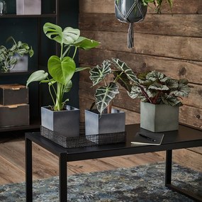 Coprivaso in ceramica Latina - Big pots