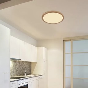 Globo 41562-24WW - Lampada LED dimmerabile da bagno SAPANA LED/24W/230V IP44