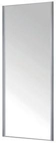Anta scorrevole per armadi a specchio L 90.8 x H 270 cm grigio argento
