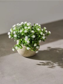 Sinsay - Pianta ornamentale artificiale - bianco