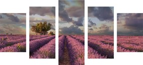 Quadri 5 pezzi – Terra dei campi di lavanda
