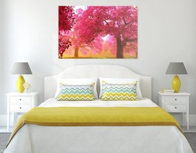Quadro su tela – Magici alberi di ciliegio in fiore