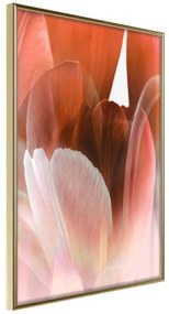 Poster  Tulip Petals  Cornice Quadri Cornice d'oro, Larghezza x Altezza Home decor 40x60