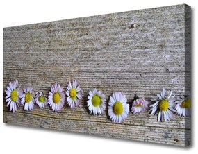 Quadro su tela Margherita, pianta, natura 100x50 cm