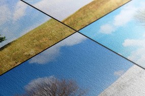 Stampa su tela – Albero nelle stagioni