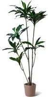 Dracaena - Pianta artificiale in vaso H150 cm