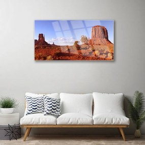 Quadro acrilico Paesaggio di sabbia del deserto 100x50 cm