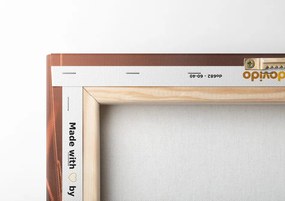Stampa su tela – Erba di cotone