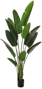 Pianta artificiale senza vaso Strelizia H 210