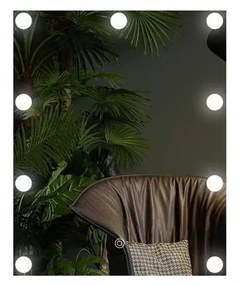 Specchio LED con illuminazione 9xLED/1W/230V 3000/4000/6000K 50x40 cm IP44
