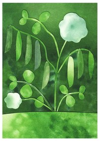Poster 50x70 cm Peas in Bloom – Anna Ravn Bjørn – The Poster Club
