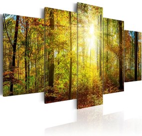 Quadro Mystical Forest  Colore Marrone, Dimensioni e Misure 200x100