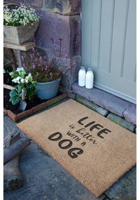 Zerbino in fibre di cocco 40x60 cm Life Is Better With a Dog – Artsy Doormats
