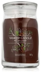Candela Profumata Yankee Candle Praline &amp; Birch 567 g