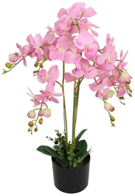 Orchidea Artificiale Con Vaso75 Cm Rosa /